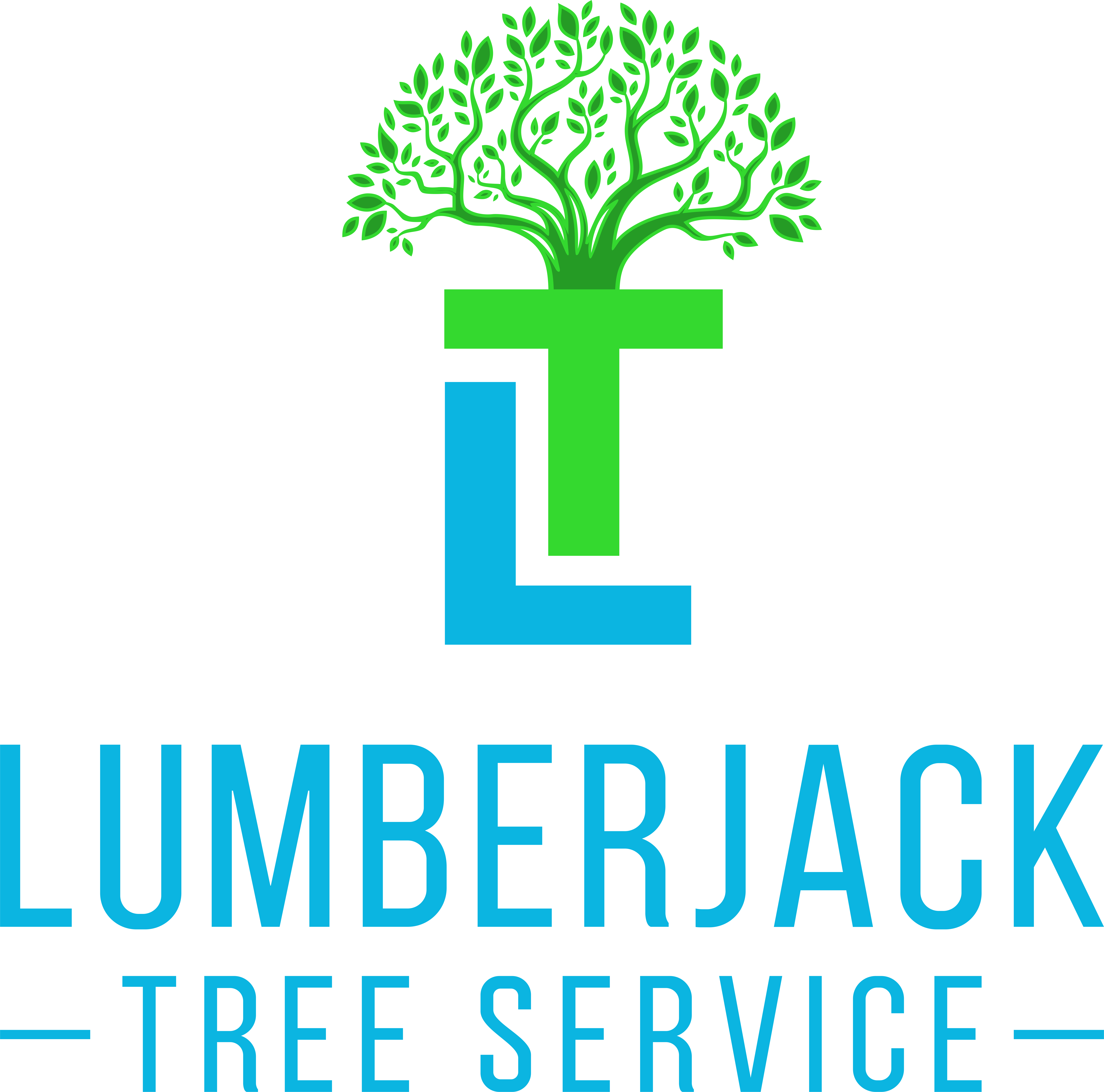 LUMBERJACK TREE SERVICE Reviews Dallas, TX Angie's List